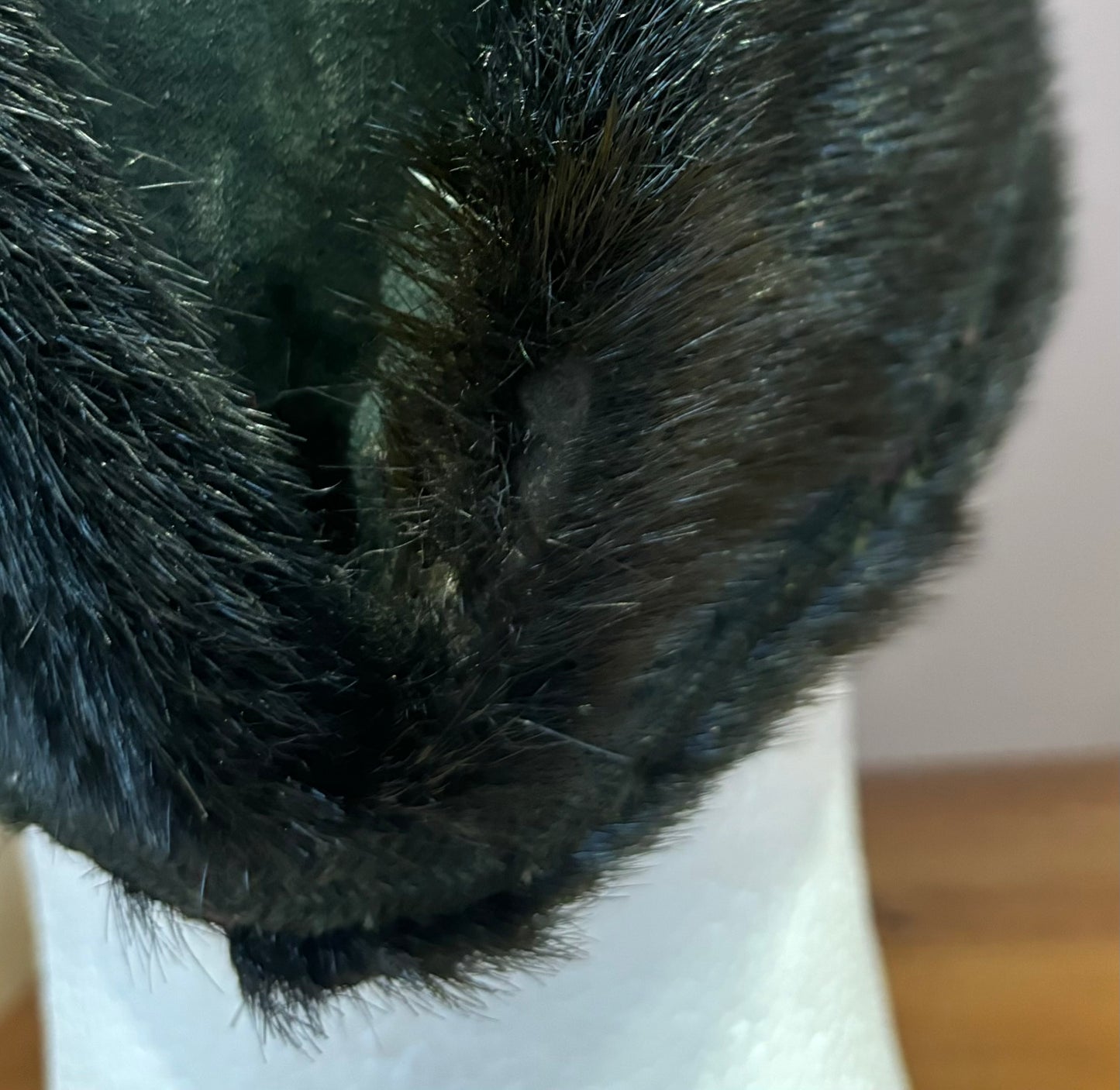 SOLD! Pre-WW1 Buckinghamshire Battalion (Ox and Bucks Light Infantry) Sealskin OR’s Rifles Busby