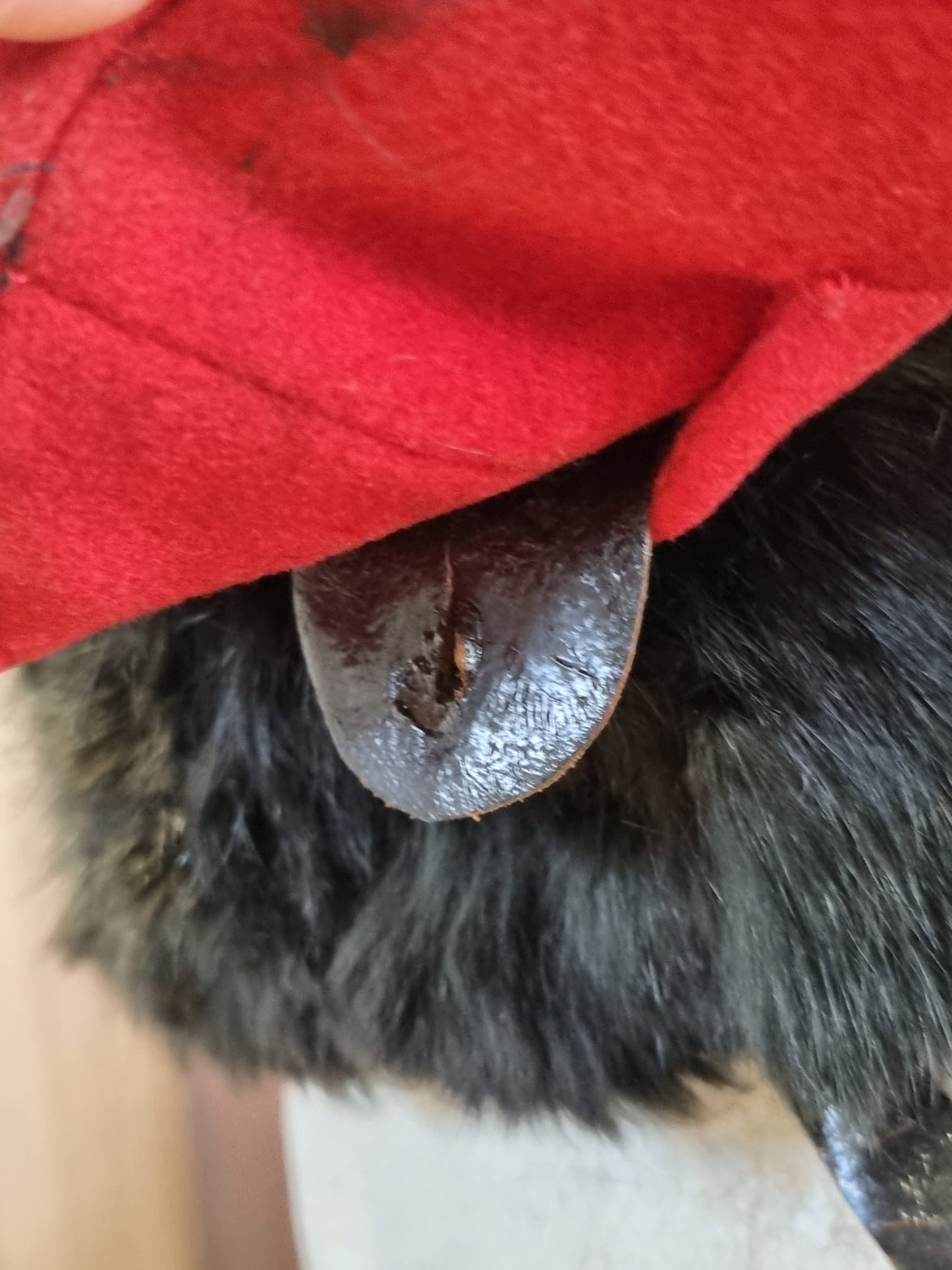 SOLD! Rare Victorian Royal Artillery OR's Busby