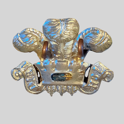 Royal Wiltshire Yeomanry Bimetal Collar Badge