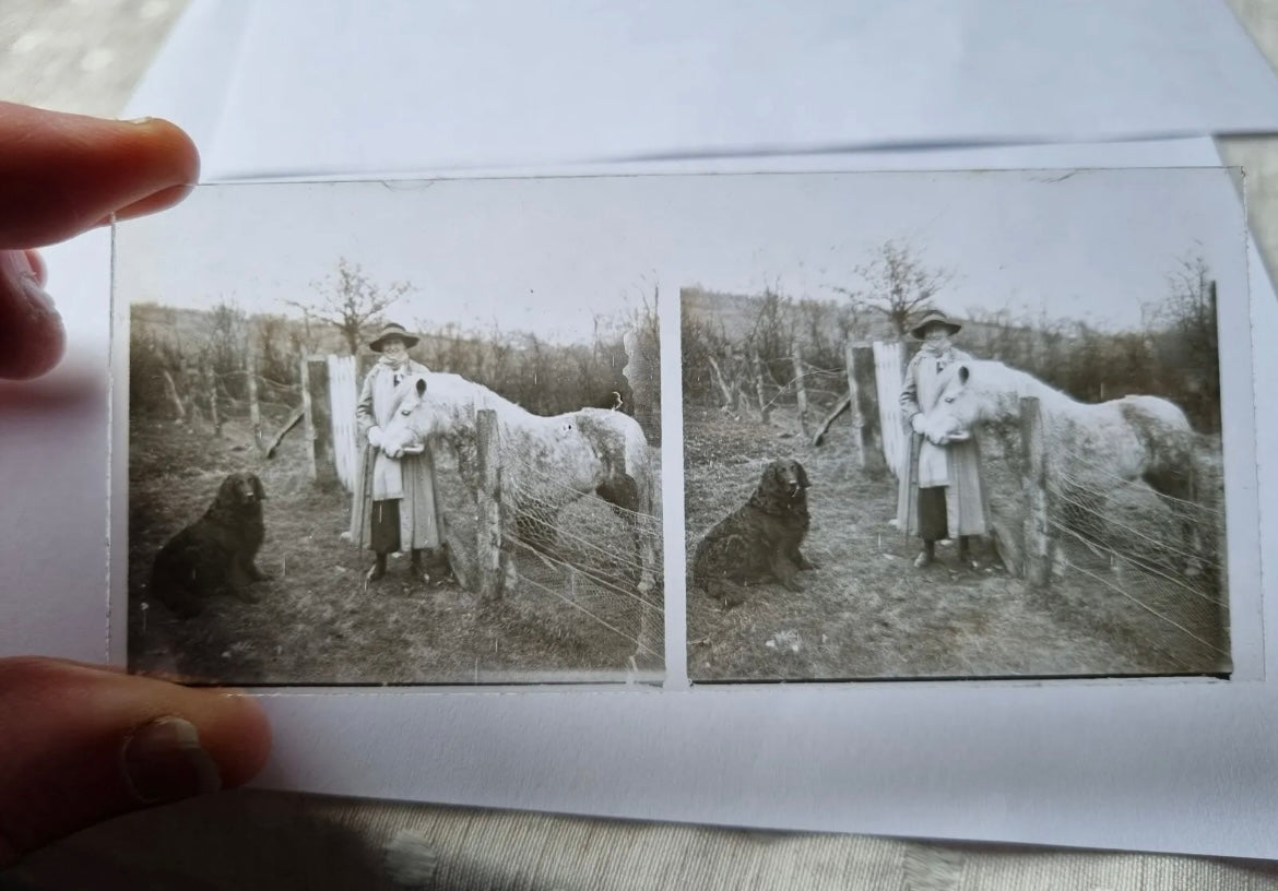 Large Collection of WW1 Era Civilian Glass Stereoview Slides - 105 in Total