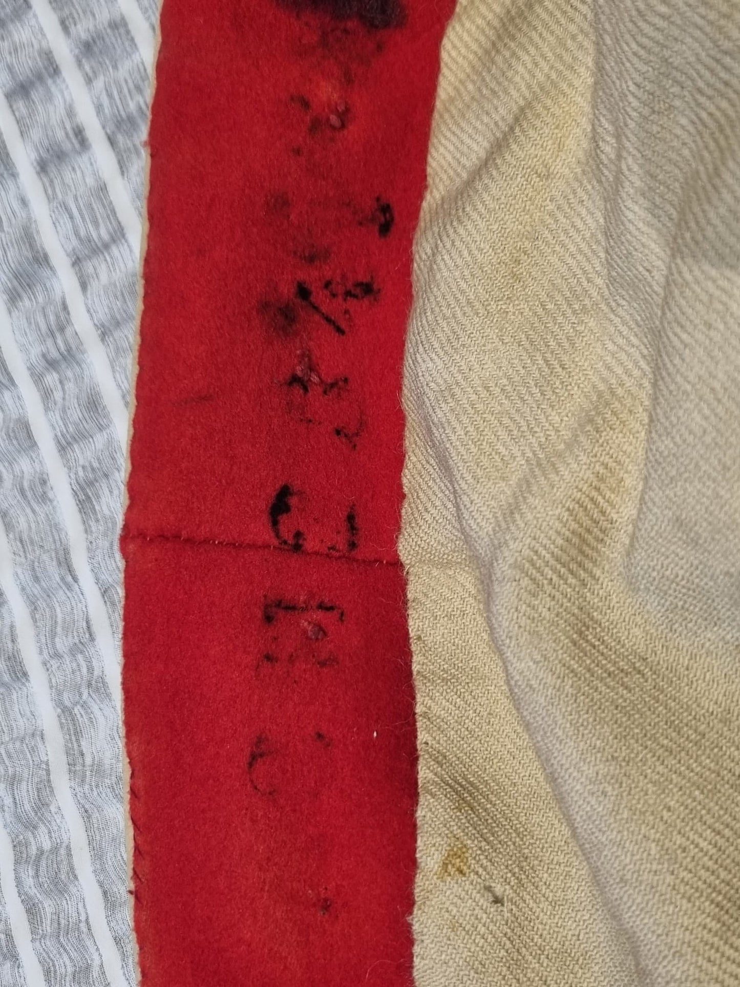 Pre WW1 (Edwardian) Scots Greys OR's Scarlet Tunic