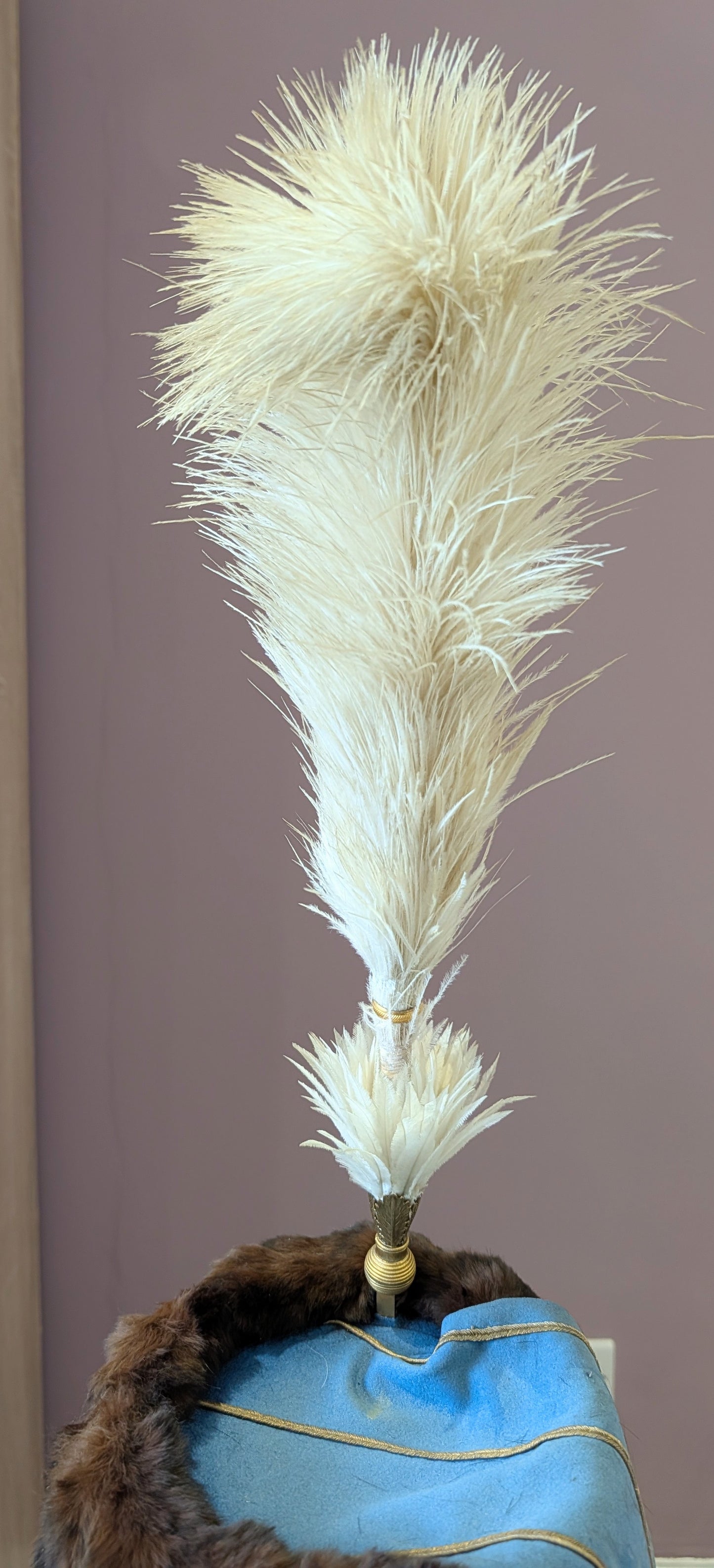 Rare Edwardian Pre WW1 3rd Hussars Officers Busby With White Feather Plume