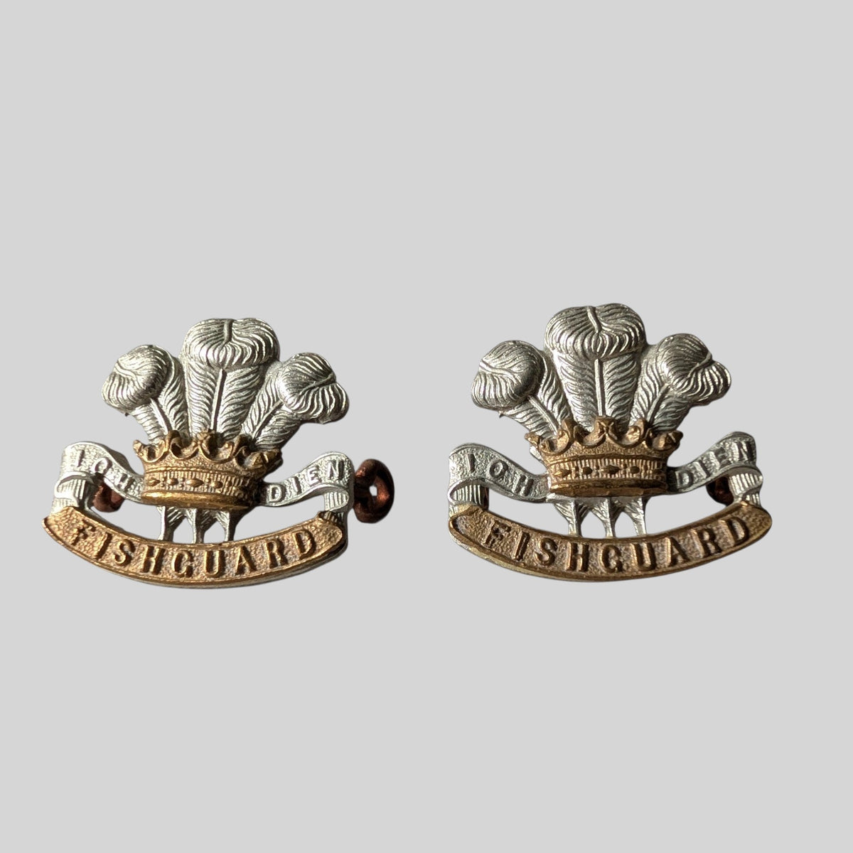 SOLD! Pembrokeshire Yeomanry Bimetal Collar Badge Pair