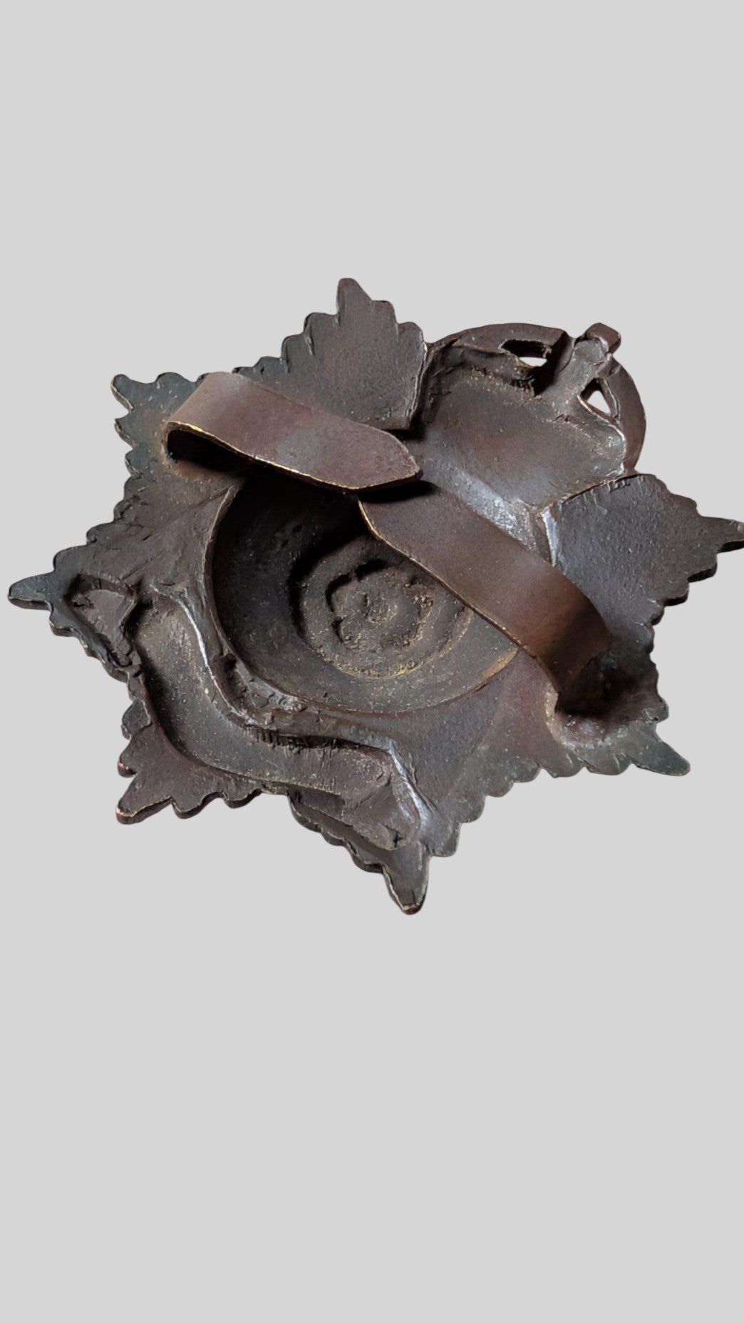 Hampshire Regiment Officer's Bronze Cap Badge