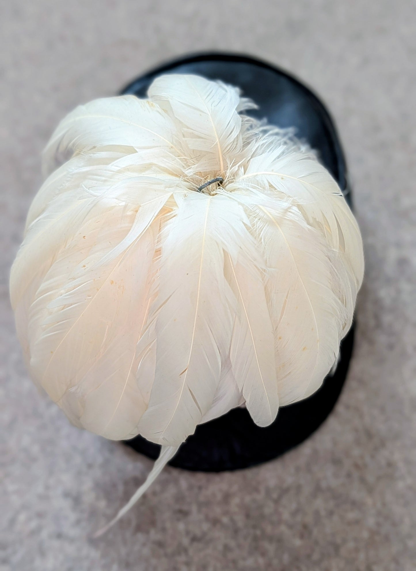SOLD! Lovely Early 20th Century French Military Academy St Cyr Shako With Feather Plume