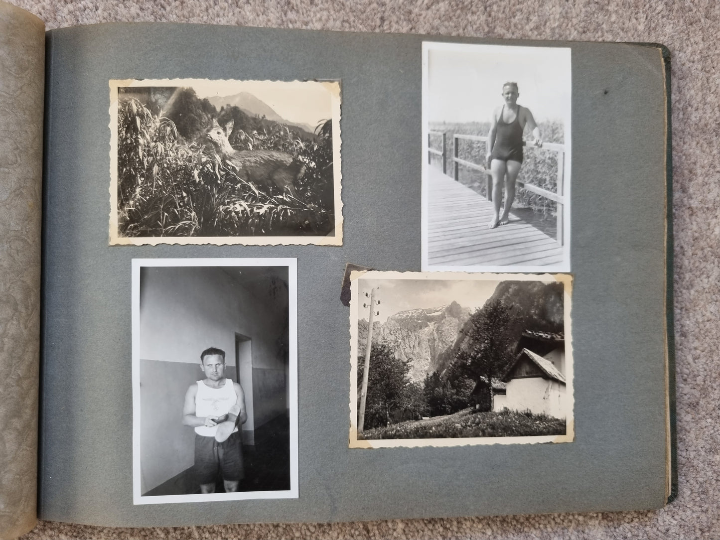 WW2 German Army Mountain Troops Jager Regiment 100 Photo Album - 125 Photos - Soldier KIA