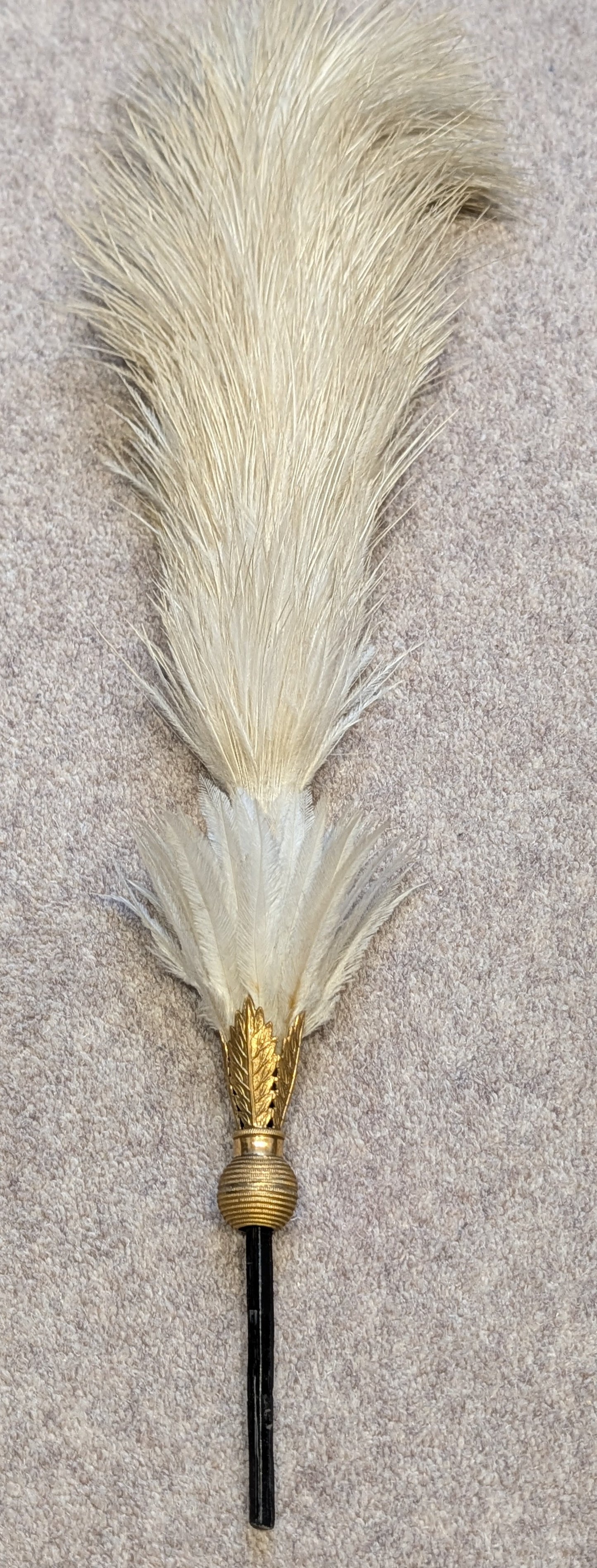 Rare Edwardian Pre WW1 3rd Hussars Officers Busby With White Feather Plume