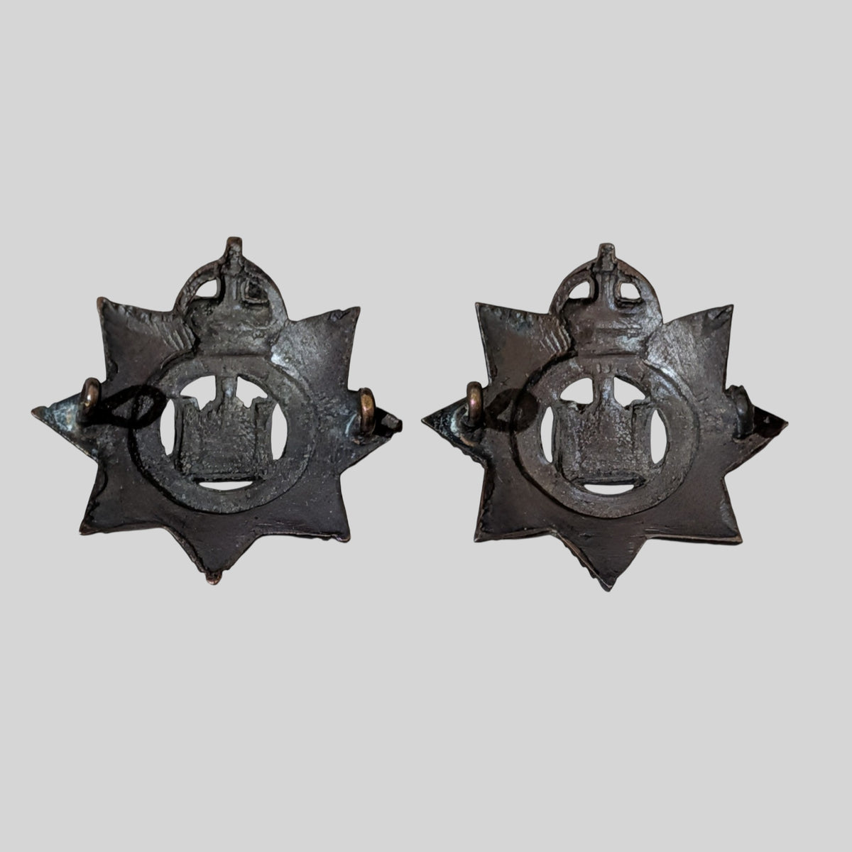 Devonshire Regiment Officers Bronze Collar Badge Pair