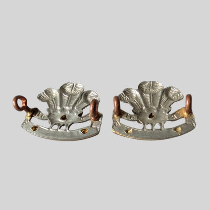 SOLD! Pembrokeshire Yeomanry Bimetal Collar Badge Pair