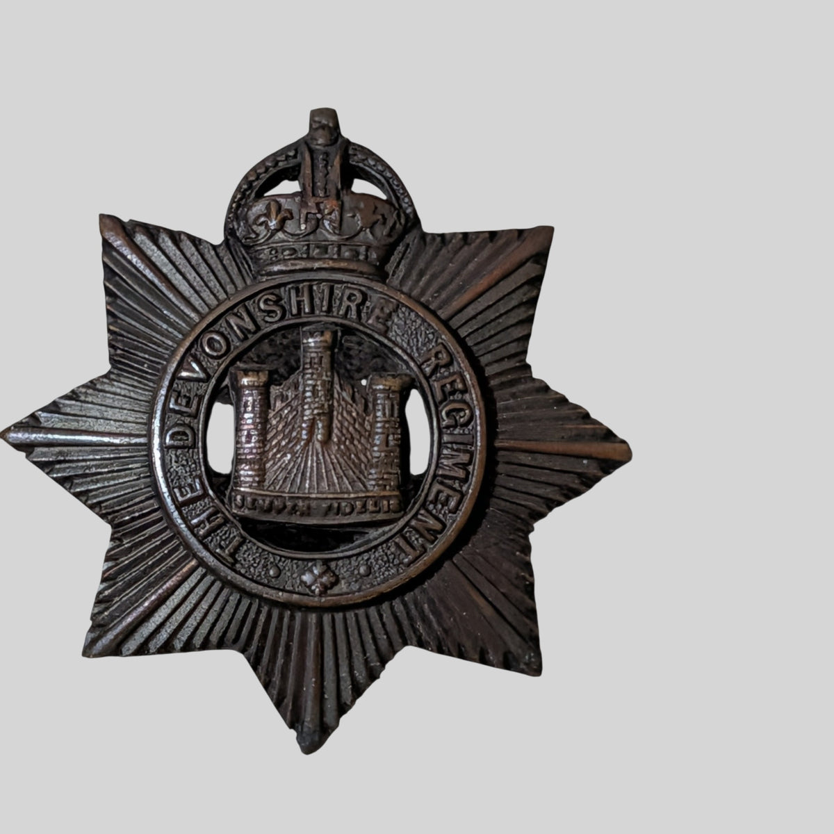 Devonshire Regiment Officers Bronze Collar Badge Pair