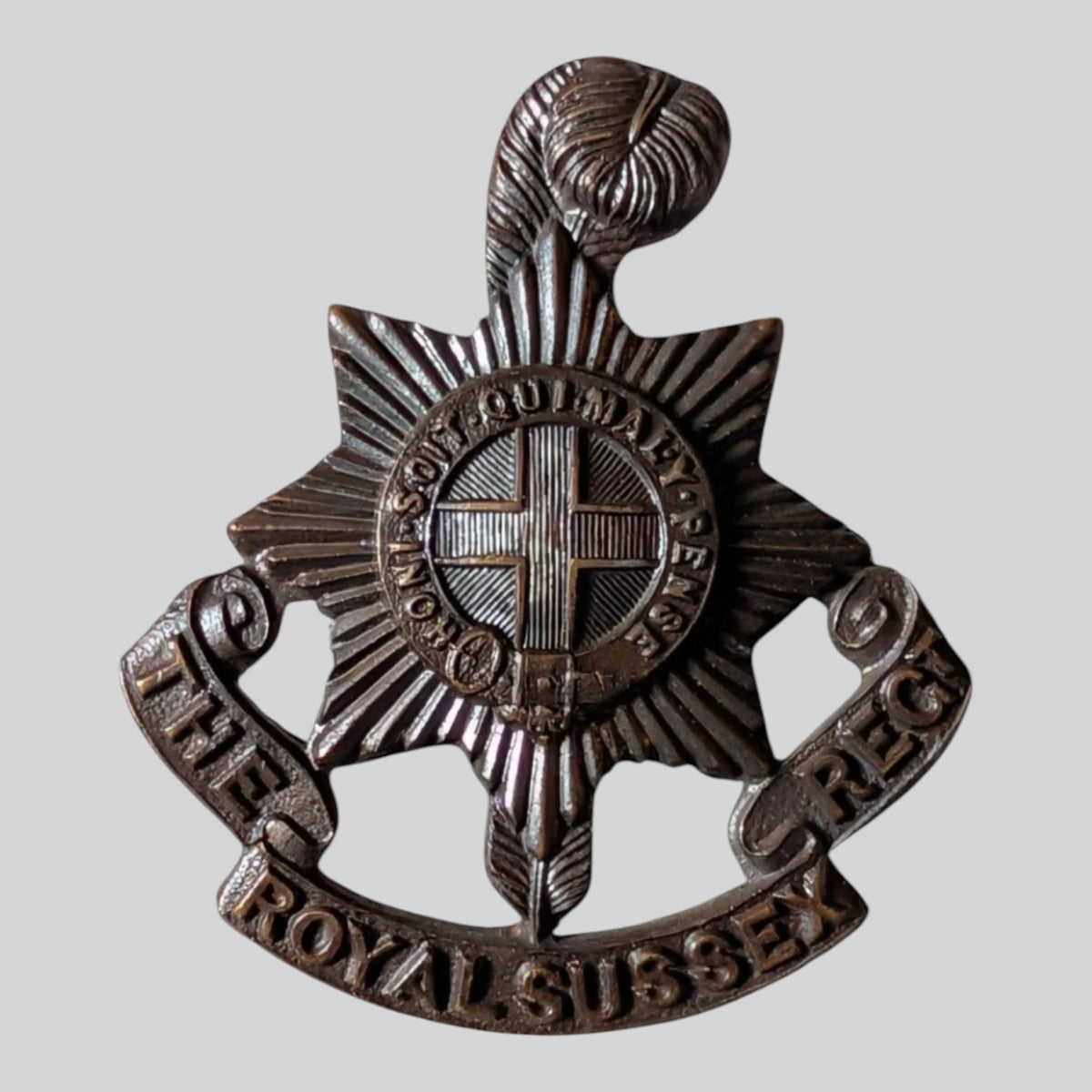 Royal Sussex Regiment Officer's Bronze Collar Badge