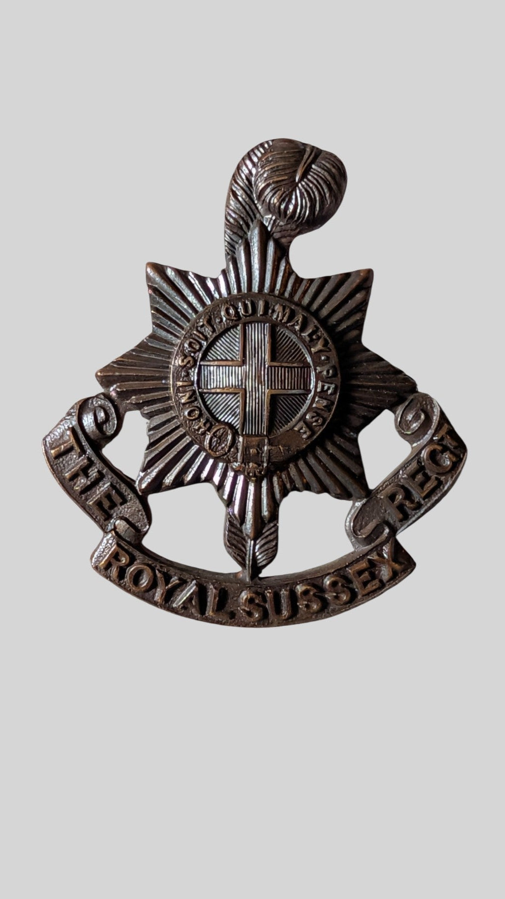 Royal Sussex Regiment Officer's Bronze Collar Badge