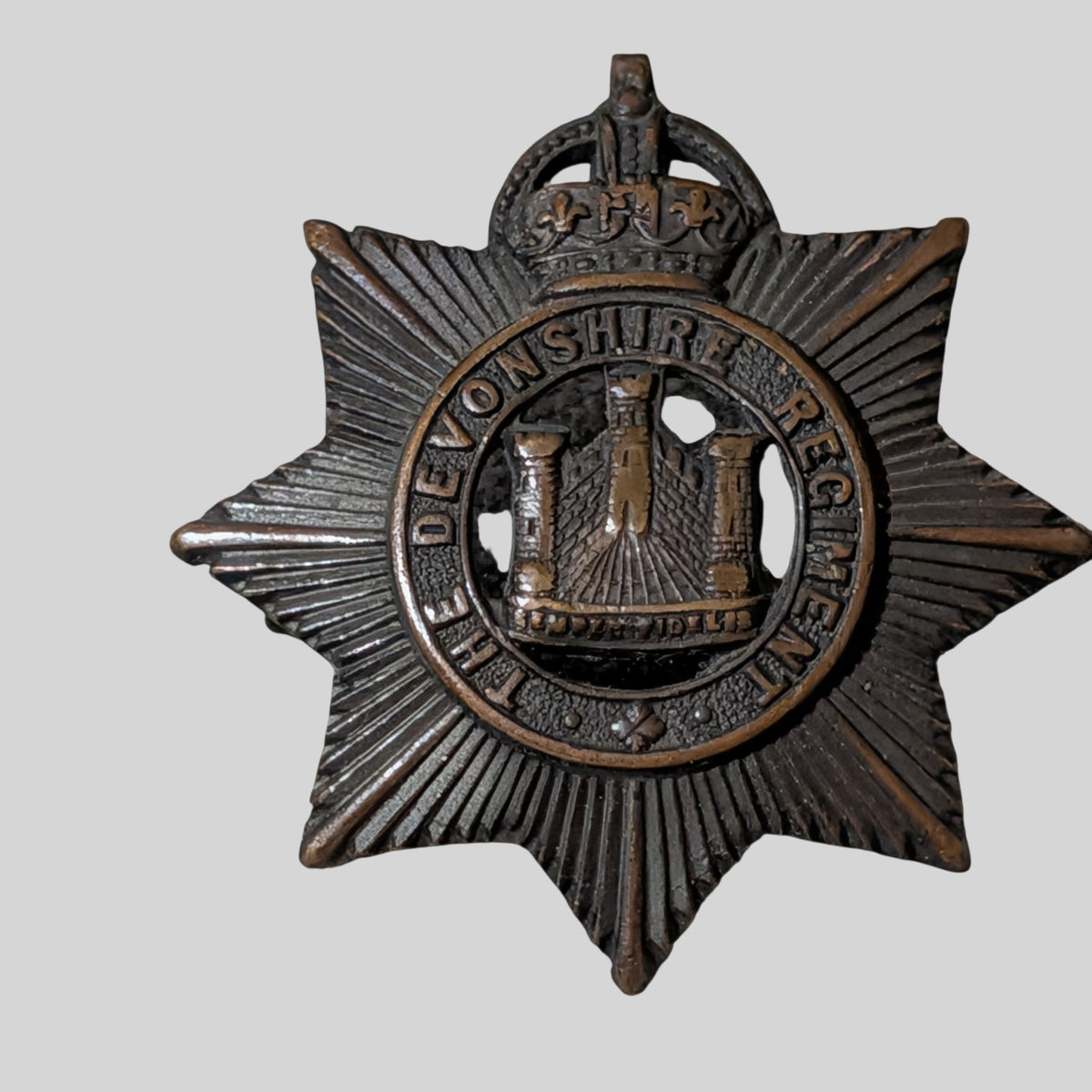 Devonshire Regiment Officers Bronze Collar Badge Pair