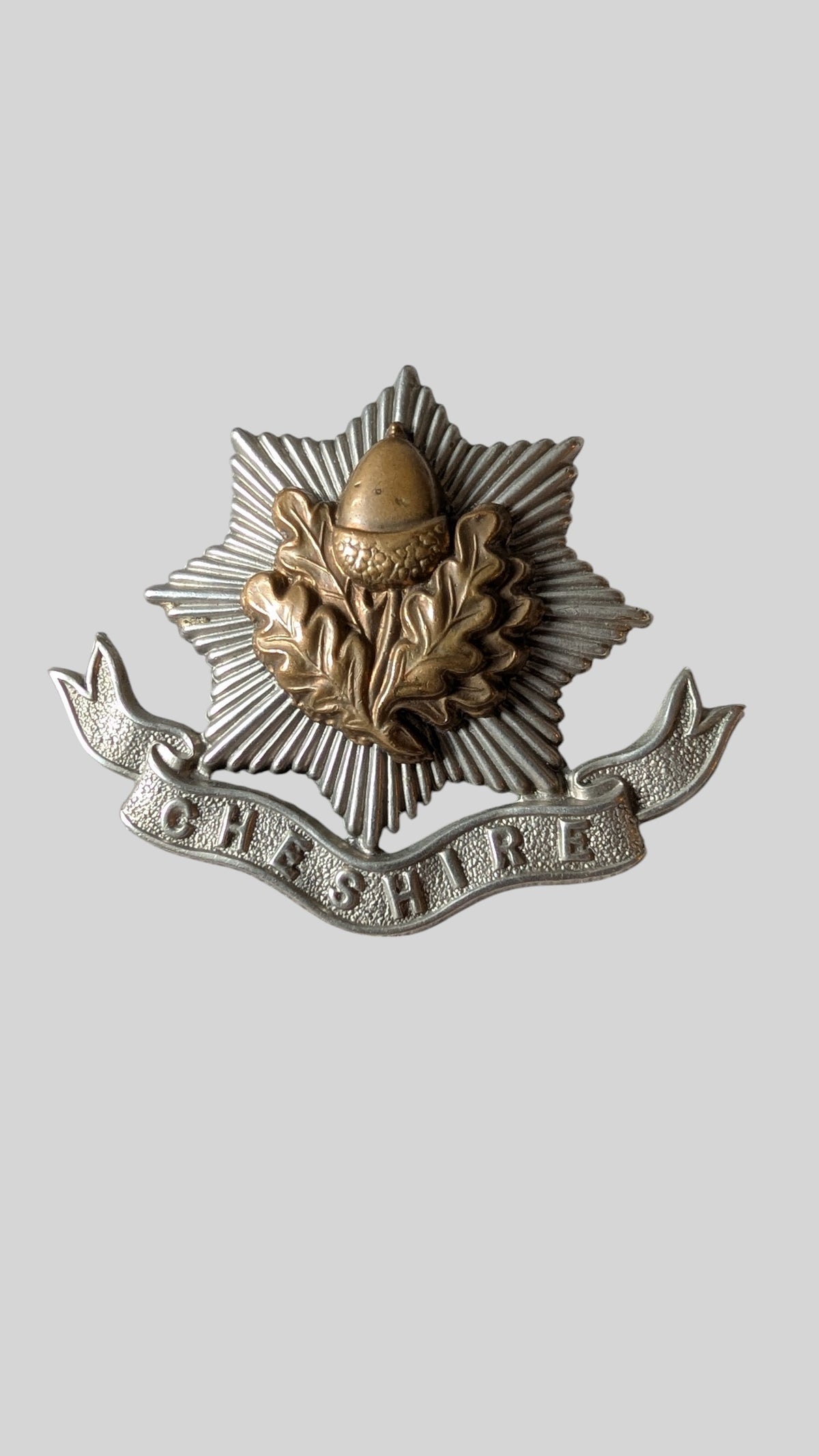 Cheshire Regiment Bimetal Cap Badge